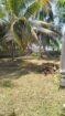 Land for Sale In Kandana