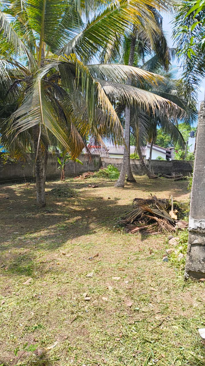 Land for Sale In Kandana