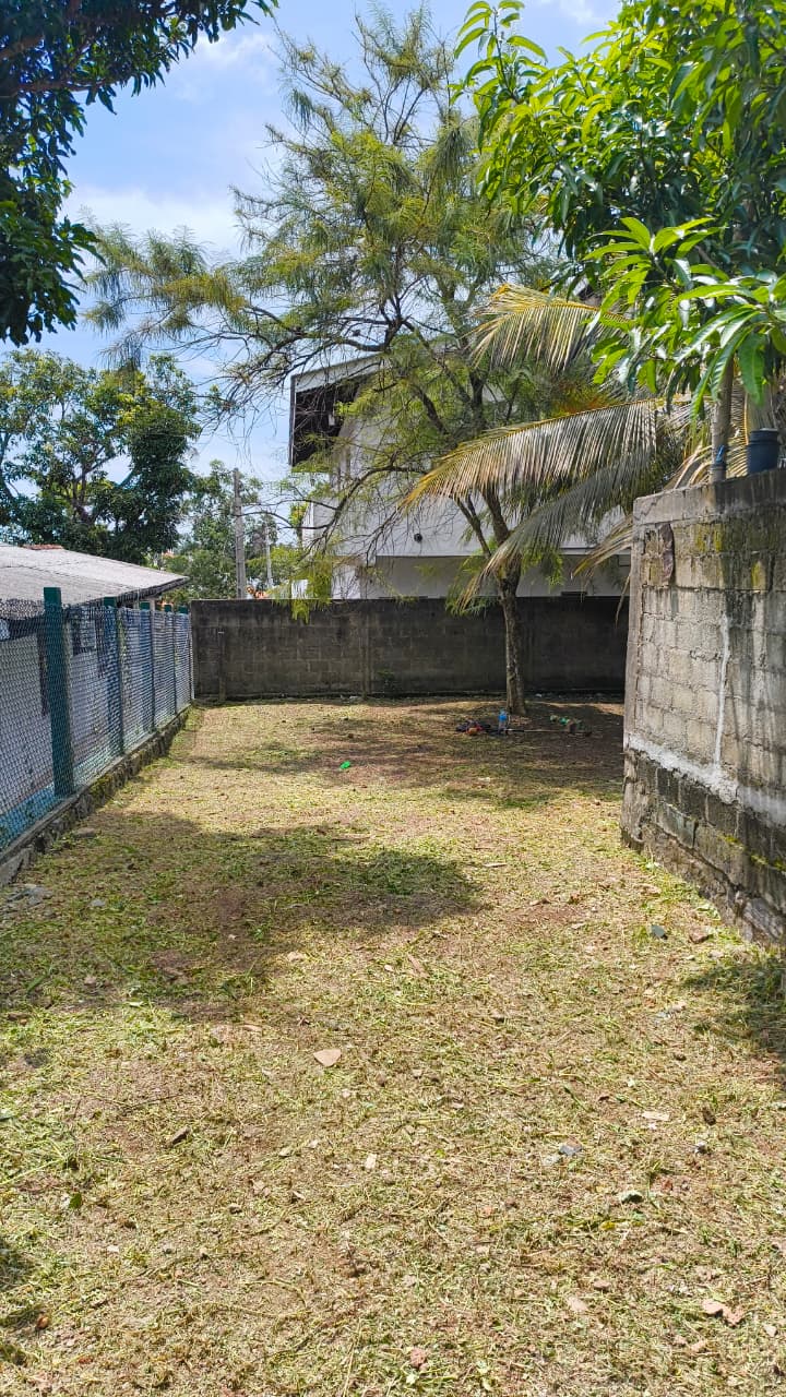 Land for Sale In Kandana