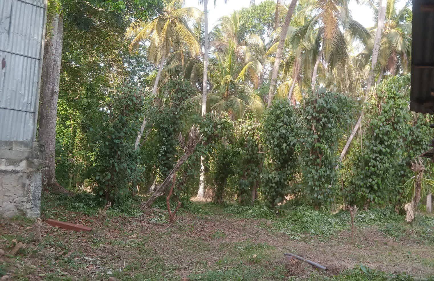 මොණරාගල නගරයේ අගනා ඉඩමක් විකීණීමට