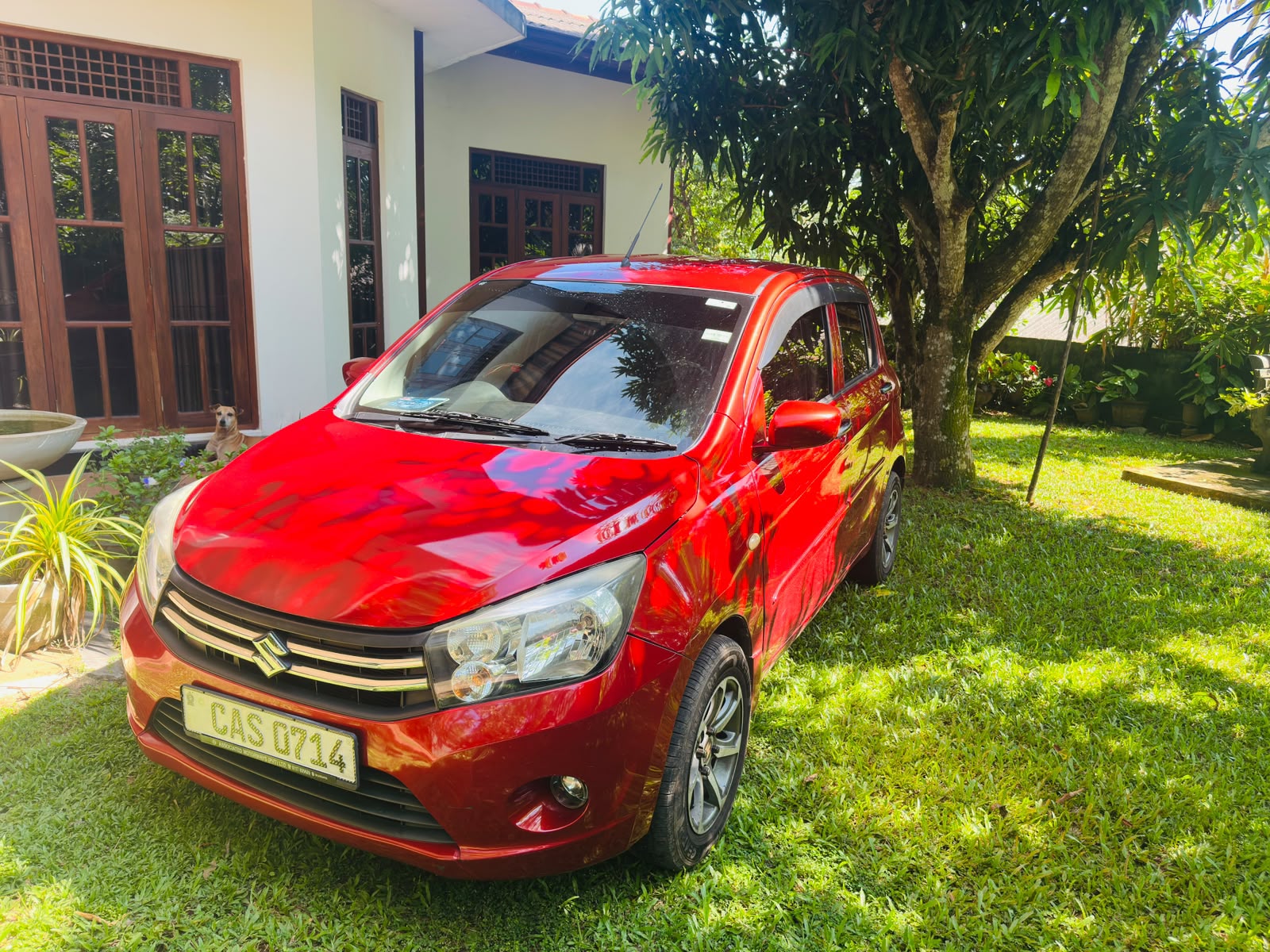 Suzuki Celerio VXI 2016
