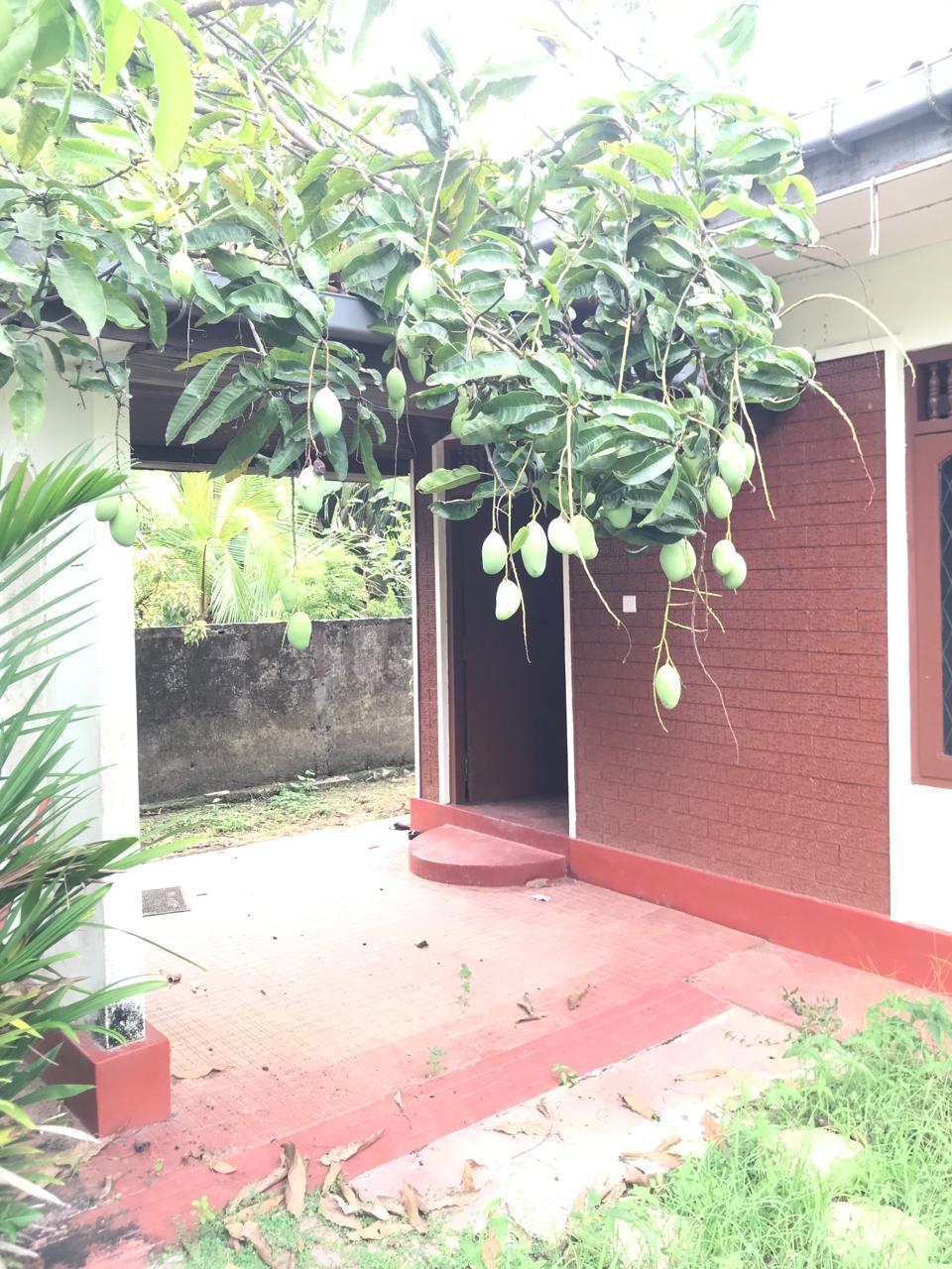 Fully Equipped House With On 10 Perch Land For Sale In Bandaragama
