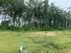 Land for Sale in Homagama