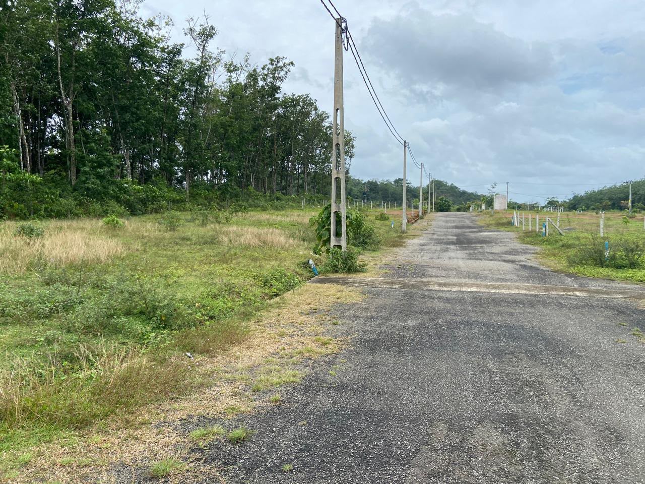 Land for Sale in Homagama