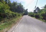 Land For Sale Near Kitulgala – 2 Acres Facing A7 Main Road