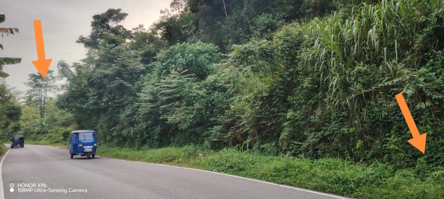 Land For Sale Near Kitulgala – 2 Acres Facing A7 Main Road