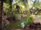 Land for Sale in Attavilluwa