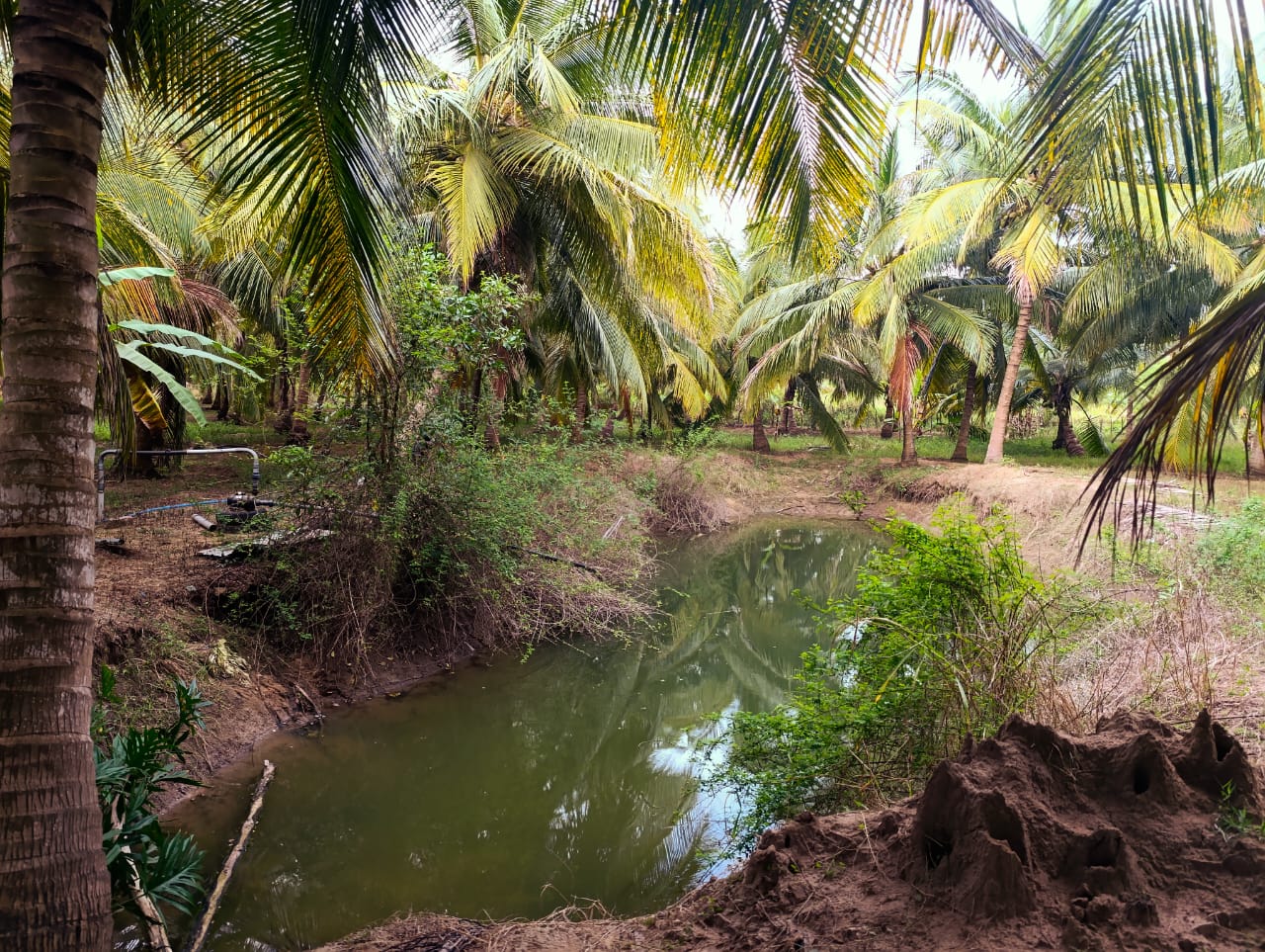 Land for Sale in Attavilluwa