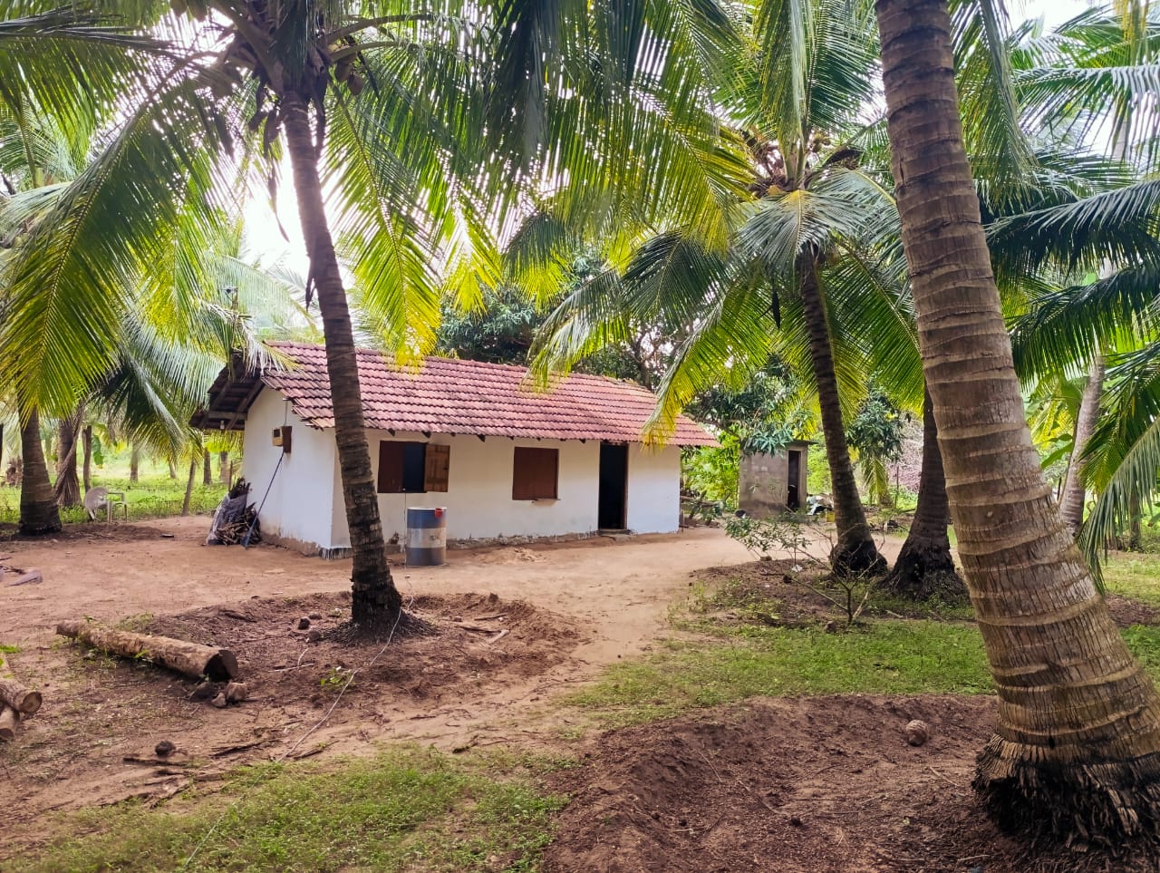 Land for Sale in Attavilluwa