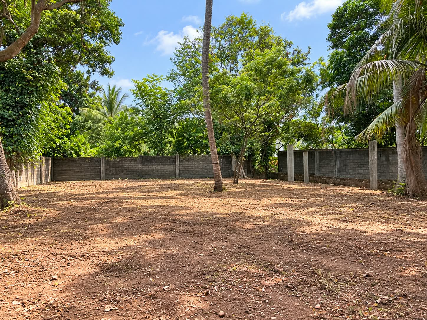 PRIME 22-PERCH LAND FOR SALE IN DEHIWALA
