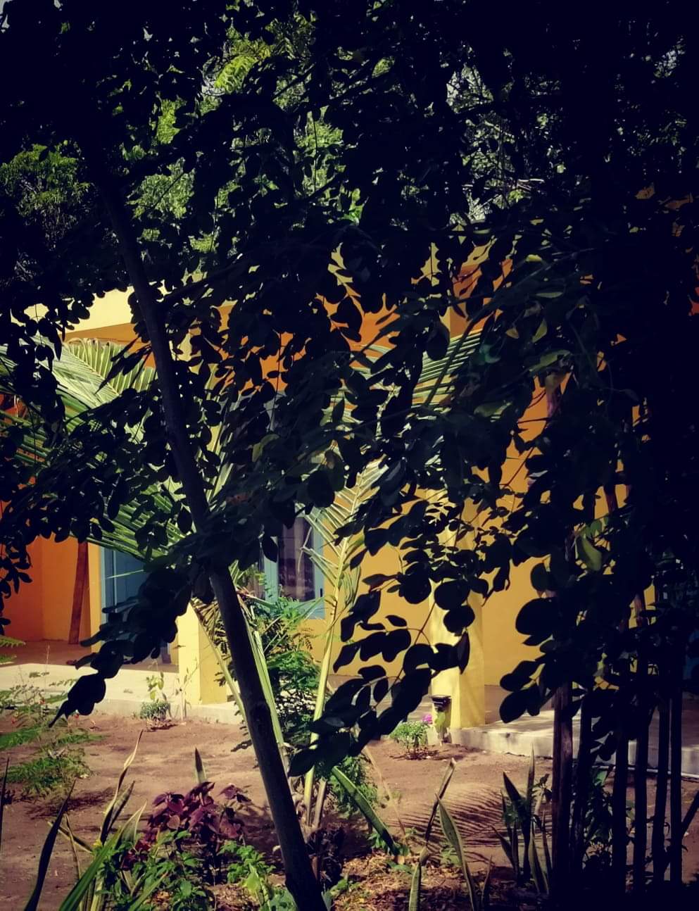 Hotel For Sale – Near Whiskey Point With Beach In Arugam Bay