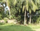 Land For Sale Baddegama