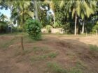 Land For Sale Baddegama