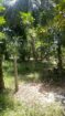 Kurunegala Town Limit Land for Sale