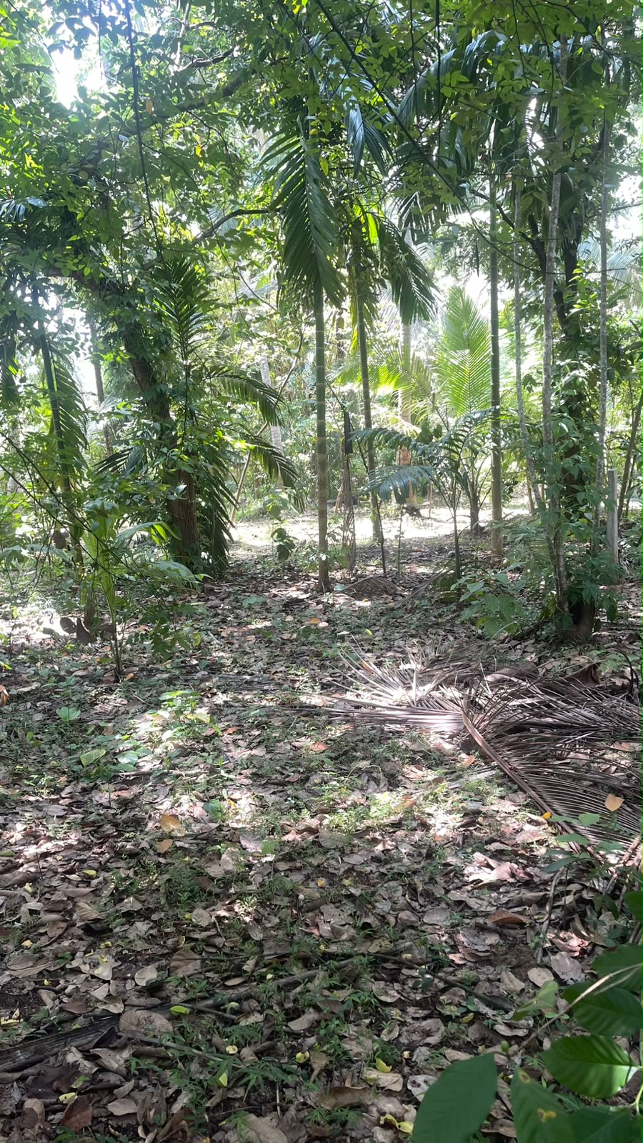 Kurunegala Town Limit Land for Sale