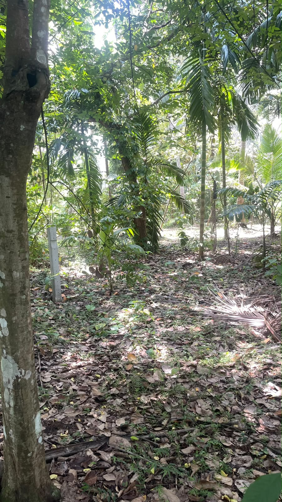 Kurunegala Town Limit Land for Sale