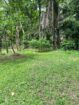 Land Sale Kemagoda In Dikwella
