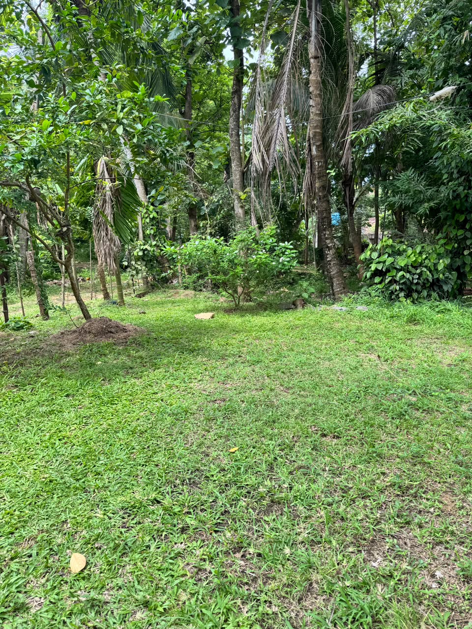Land Sale Kemagoda In Dikwella