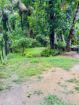 Land Sale Kemagoda In Dikwella