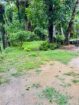 Land Sale Kemagoda In Dikwella