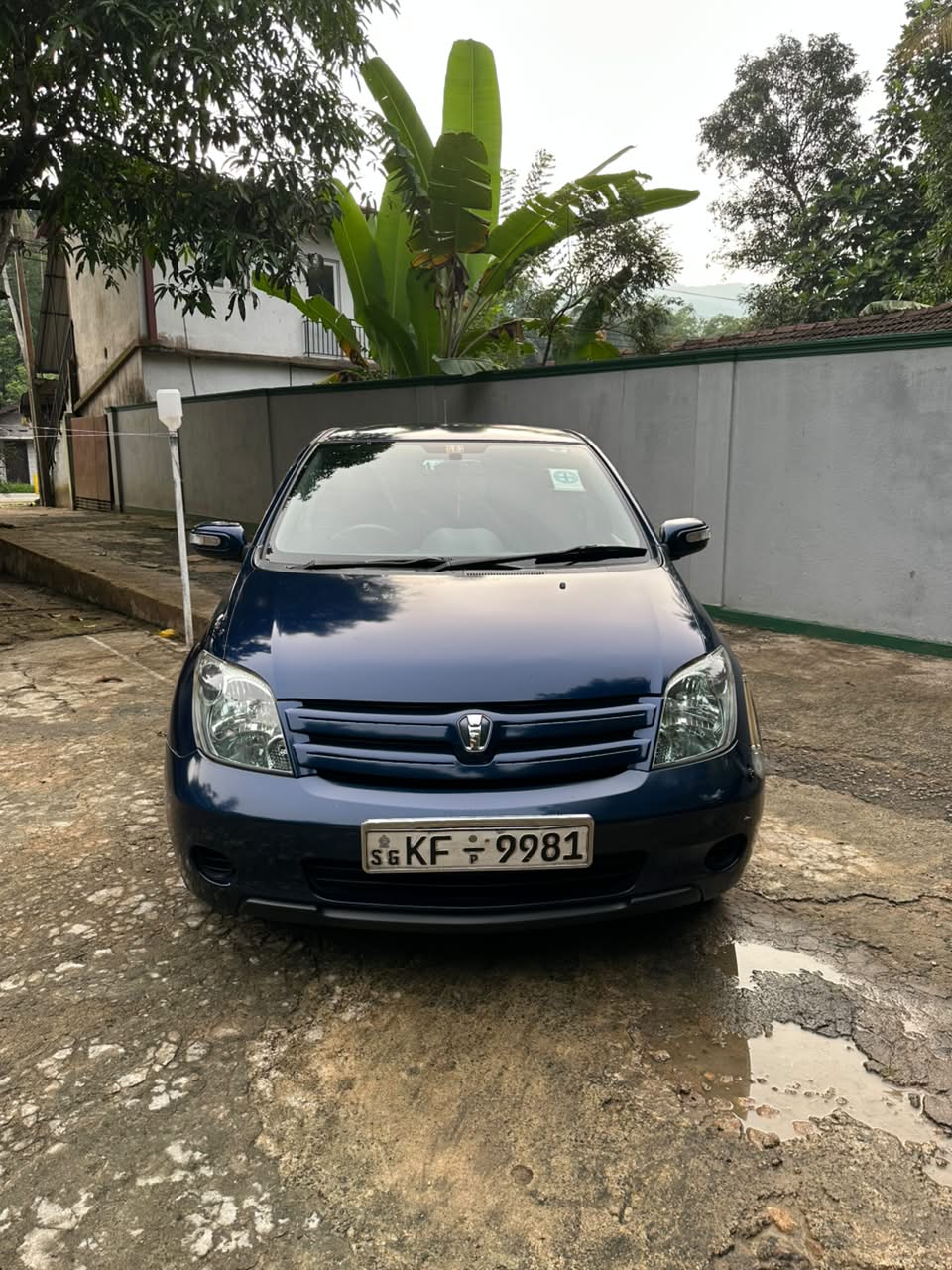 Toyota IST 2003